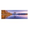 Lake Wanaka Tree Puzzle - 1000 pieces - by Clementoni