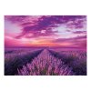 Lavender Field Puzzle - 1000 PIECES - BY CLEMENTONI