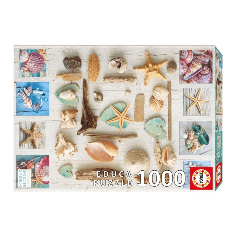 Seashells Collage Puzzle - 1000 Pieces - by Educa