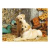 Hunting Dogs Labrador Puzzle - 1500 pieces - by Clementoni